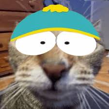 Meow Park gallery image 2